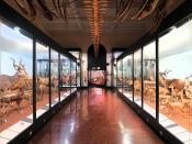 Museo Giacomo Doria 7-2019 7770